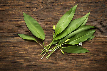 Image showing Wild garlic