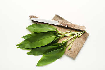 Image showing Wild garlic