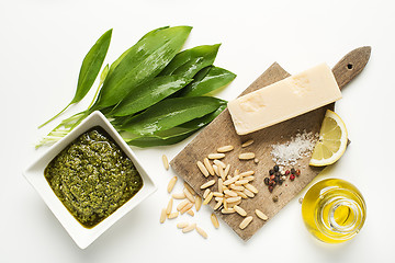 Image showing Wild garlic pesto