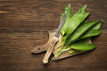 Image showing Wild garlic