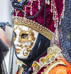 Image showing Portrait of a Disguised Person - Venice Carnival 2014