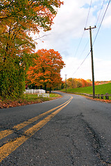 Image showing Vibrant Fall Foliage Road