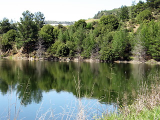 Image showing Lakes and trees. Cyprus