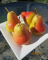 Image showing Flamingo pears