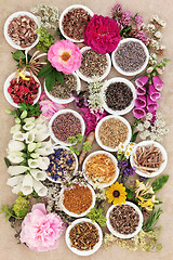 Image showing Natural Herbal  Medicine