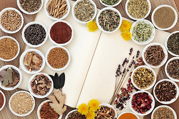 Image showing Womens Herbal Health 