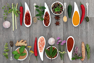 Image showing Herbs and Spices