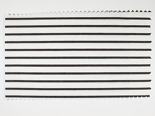 Image showing Black Striped fabric sample