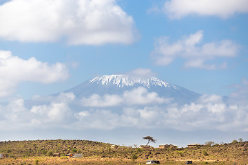 Image showing Kilimanjaro overlooking african savannah.