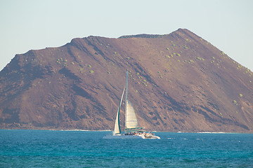 Image showing Catamarans cruising the blue sea.