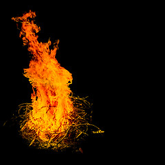 Image showing Bonfire in the night