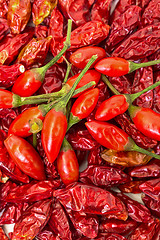 Image showing Heap of Ripe and Dried Red Peppers Piri-Piri