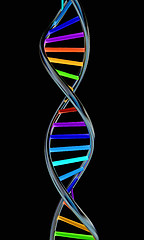 Image showing DNA structure model