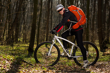 Image showing Mountain biker riding on bike in springforest landscape. 