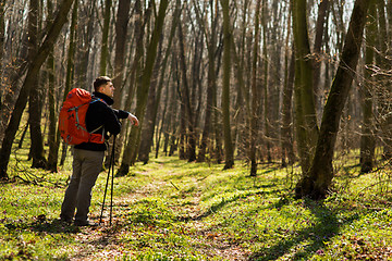 Image showing Active healthy man hiking in beautiful forest