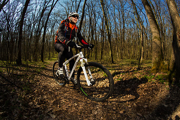 Image showing Cyclist Riding the Bike