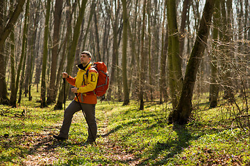 Image showing Active healthy man hiking in beautiful forest