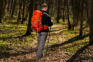 Image showing Active healthy man hiking in beautiful forest