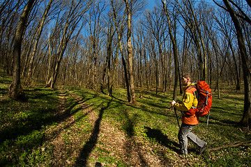 Image showing Active healthy man hiking in beautiful forest