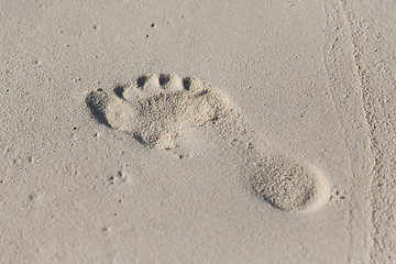 Image showing human footprint on beach sand