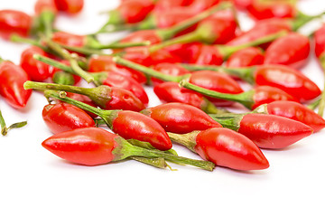 Image showing Heap of Ripe Red Peppers Piri-Piri