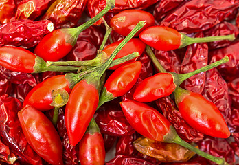 Image showing Heap of Ripe and Dried Red Peppers Piri-Piri