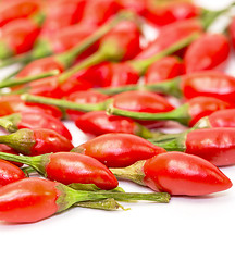 Image showing Heap of Ripe Red Peppers Piri-Piri