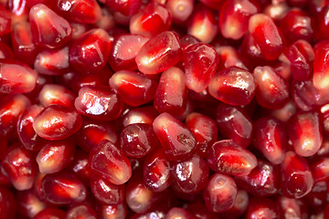 Image showing Backdrop from Fresh Pomegranate Seeds