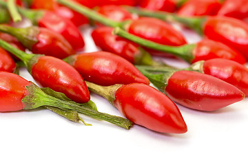 Image showing Heap of Ripe Red Peppers Piri-Piri