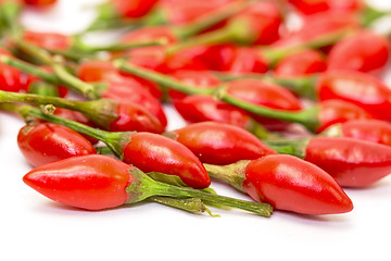 Image showing Heap of Ripe Red Peppers Piri-Piri