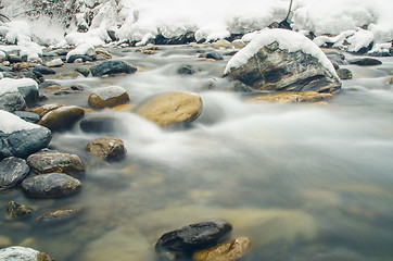 Image showing Plant on a mountain river, photographed with a long exposure