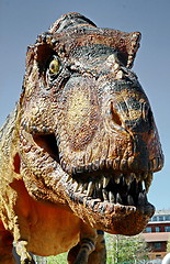 Image showing Tyrannosaurus Rex