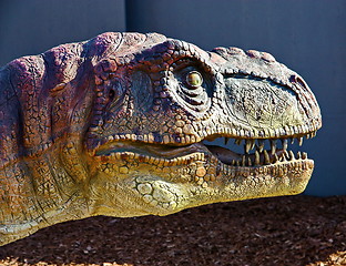 Image showing Tyrannosaurus Rex