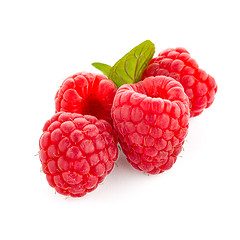 Image showing Raspberry fruit isolated