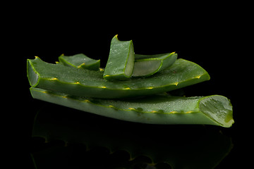 Image showing Sliced aloe leaf