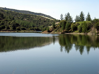 Image showing Trees and lakes. Cyprus
