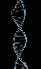 Image showing DNA structure model