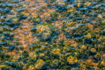 Image showing Sludge stones sand.