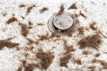 Image showing sink after hair cut with trimmer