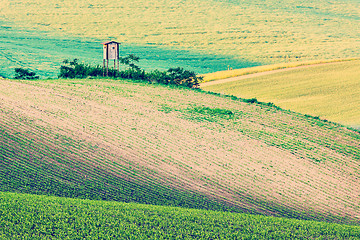 Image showing Moravian rolling landscape with shack