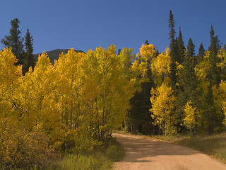 Image showing Autumn Bend