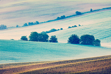 Image showing Moravian rolling fields in morning mist