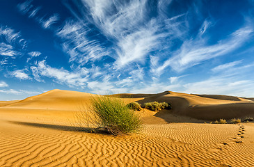 Image showing Sand dunes in desert