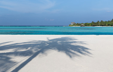 Image showing maldives island beach with palm tree and villa