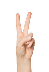 Image showing close up of hand showing peace or victory sign