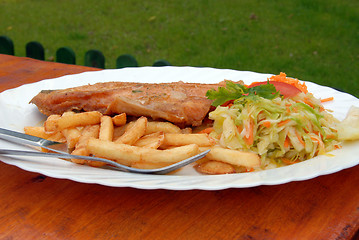 Image showing full dinner plate