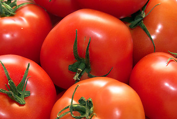 Image showing tomatoes