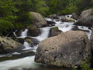 Image showing Wild Mountain River