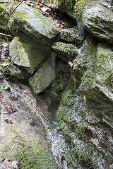 Image showing Natural water spring