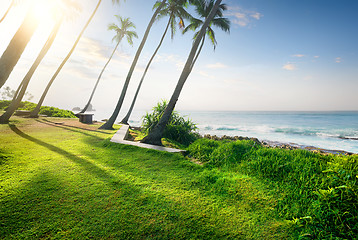 Image showing Grass and ocean